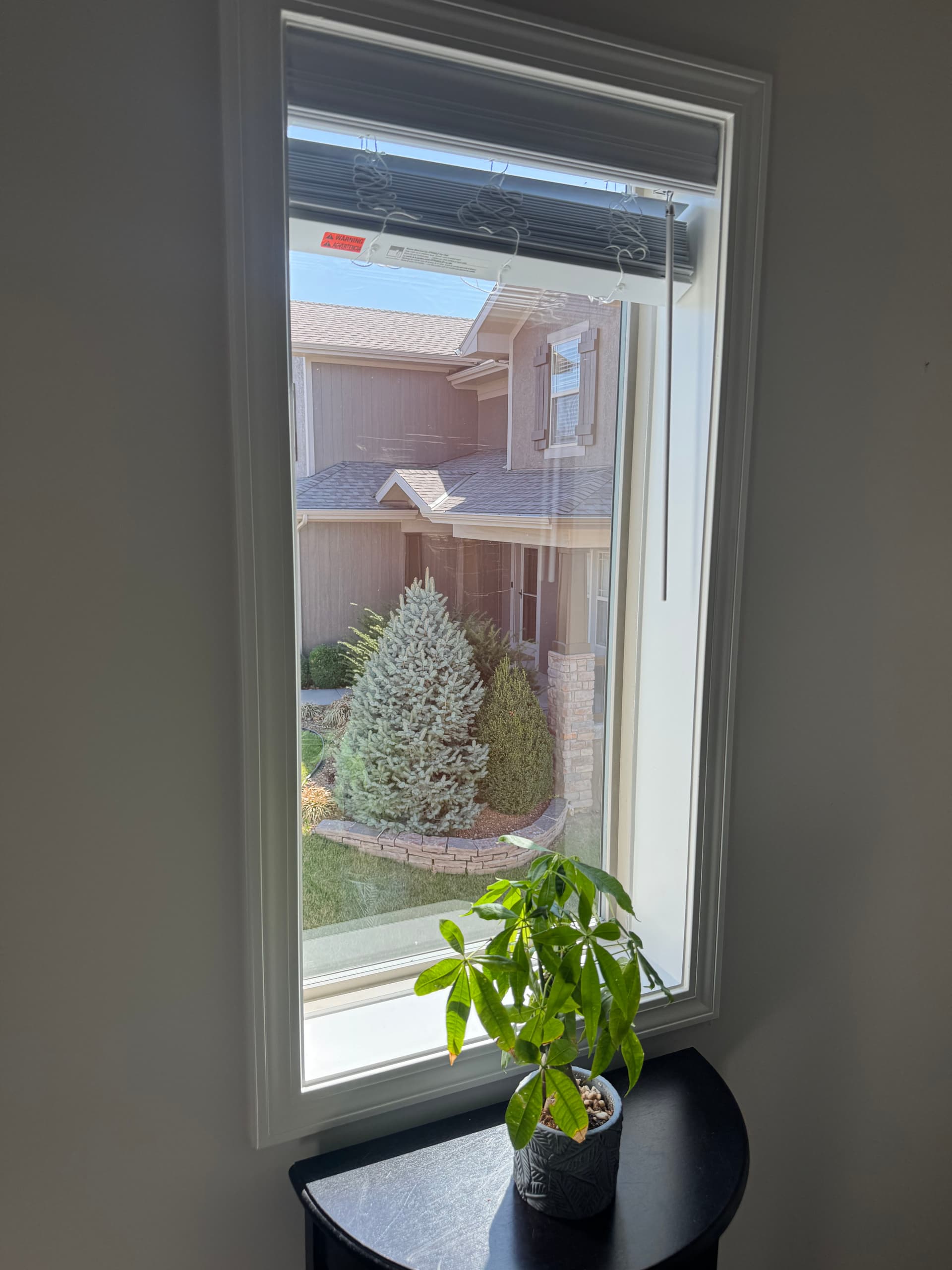 Brighten Your Home with Clean Windows image