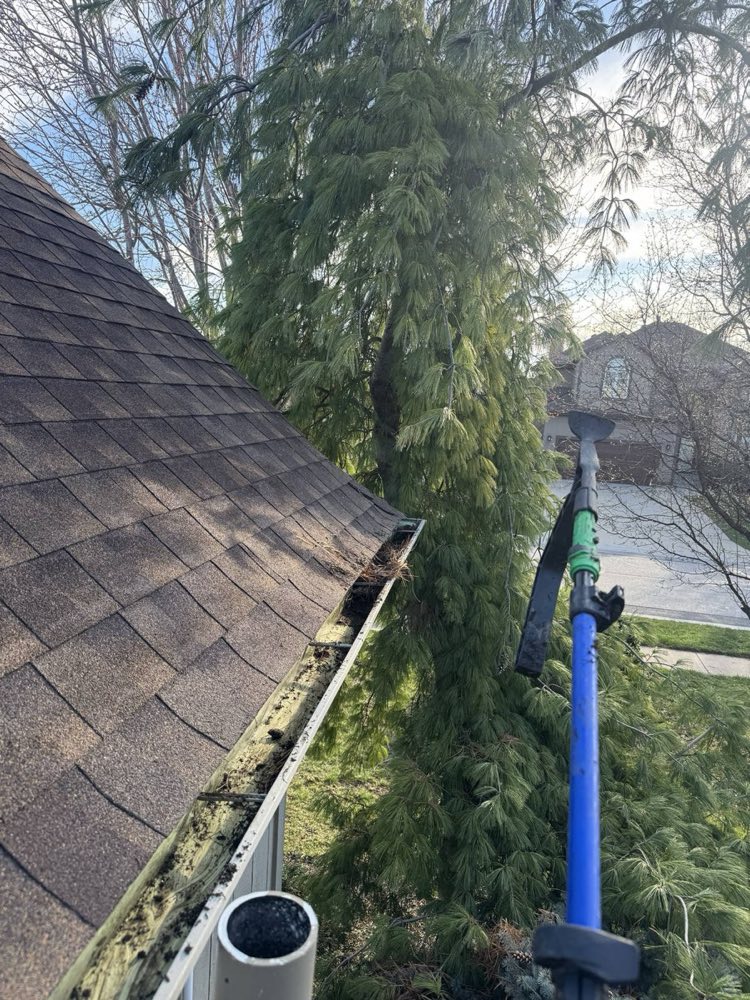 Gutter Cleaning in Gardner KS — window cleaning near Gardner, KS by Alternative Window Cleaning