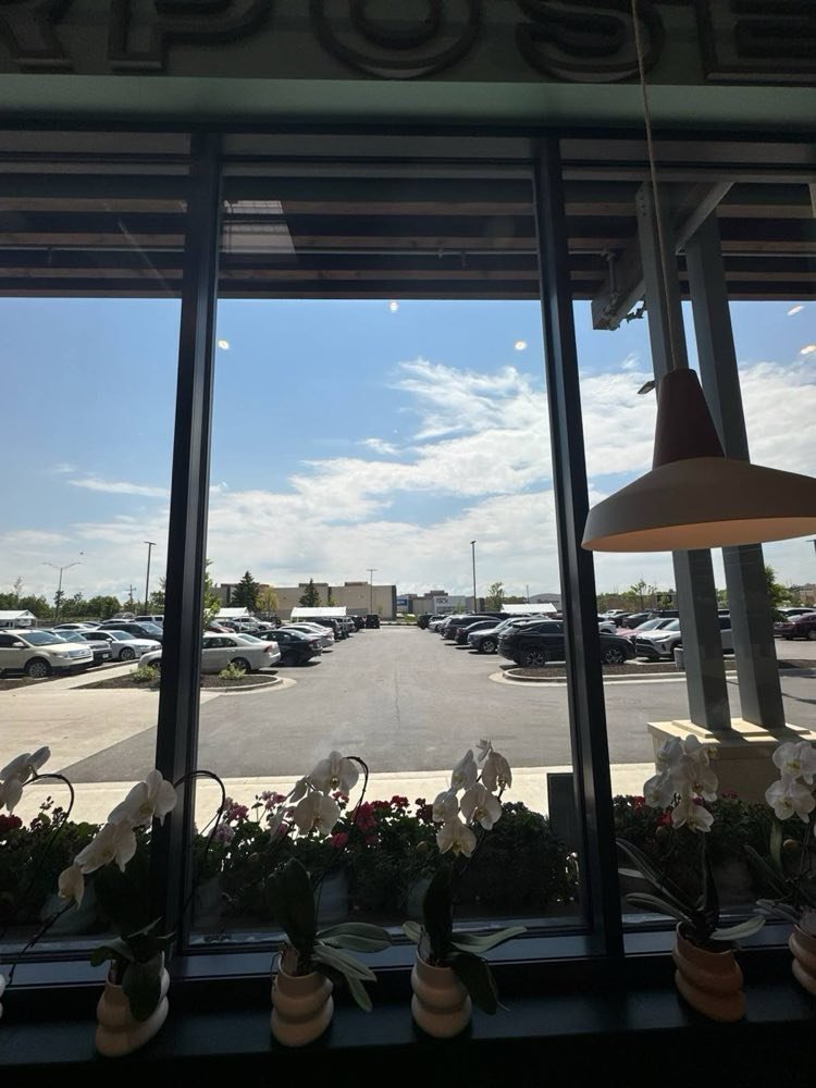 Spotless Views in Overland Park — Alternative Window Cleaning