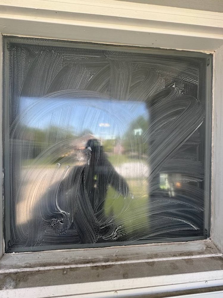 Window Cleaning Transformation in Gardner — photo 2